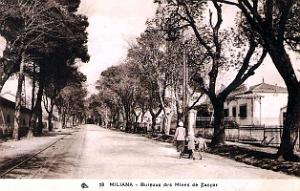 MILIANA - Mines de Fer du Zaccar - 12
